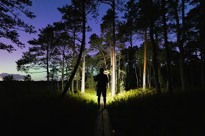 Immersive activities beyond the beaten path